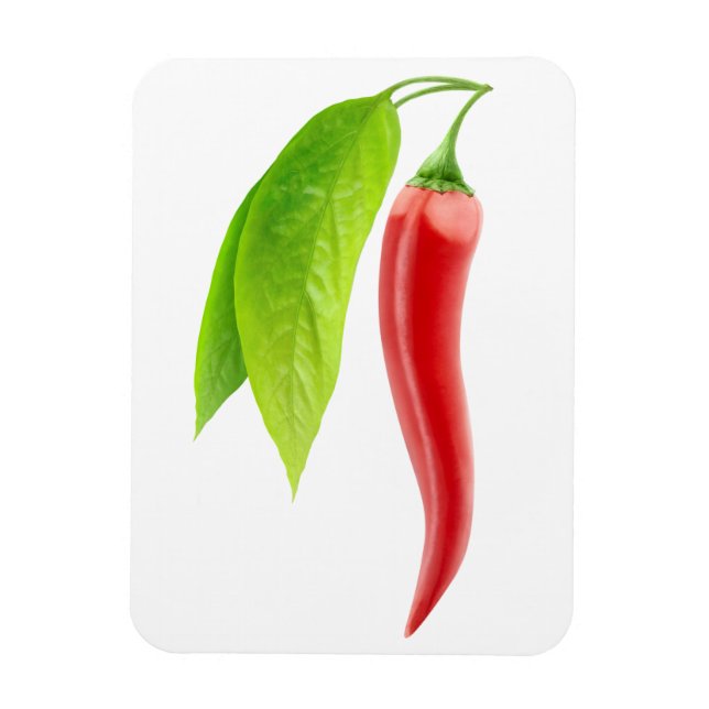 Red hett chili pepper magnet (Vertikal)