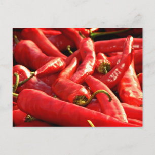 Red hett Chili Vykort