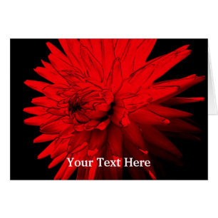 Red Hett Dahlia Blommigt Art-fotokort Hälsningskort