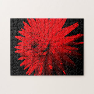 Red Hett Dahlia Flower Abstrakt Art Pussel