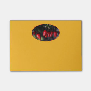 Red Hett Garden Salsa Chili Peppers. Post-it Block