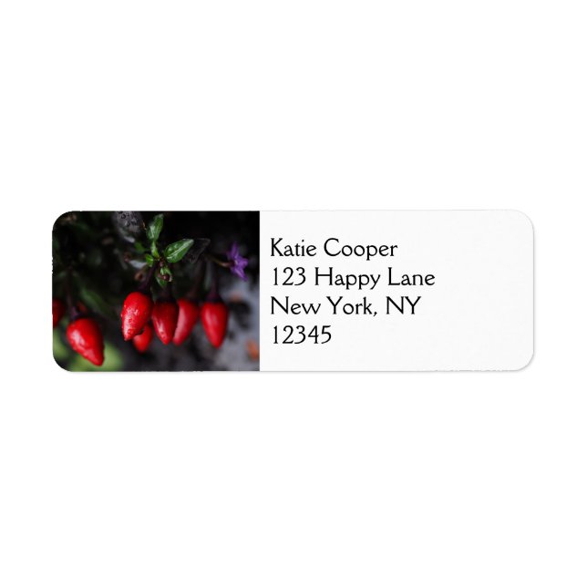 Red Hett Garden Salsa Chili Peppers. Returadress Etikett (Framsidan)