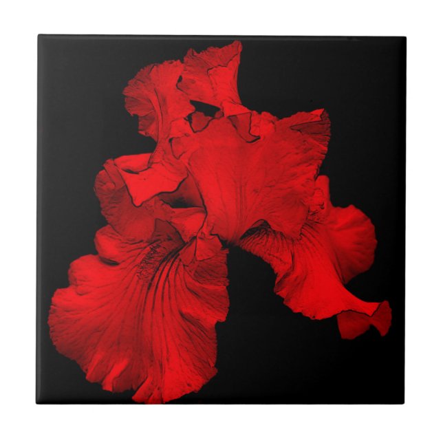Red Hett Iris Blommigt Art Tile Kakelplatta (Framsidan)