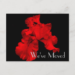 Red Hett Iris Ny adress Blommigt Art Postcard Meddelande Vykort