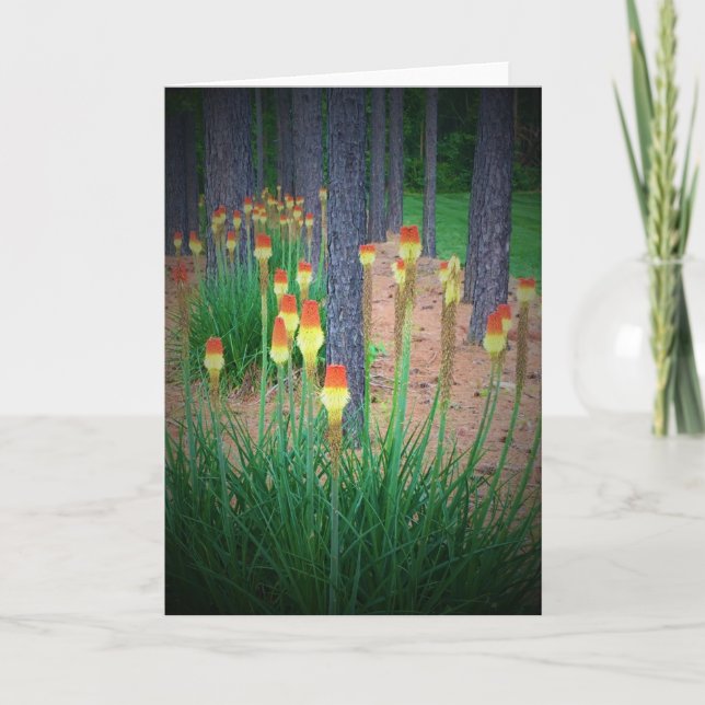 Red Hett Pokers, kort (Framsida)