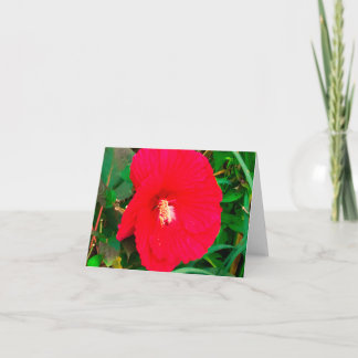 Red Hibicus Note card Anteckningskort
