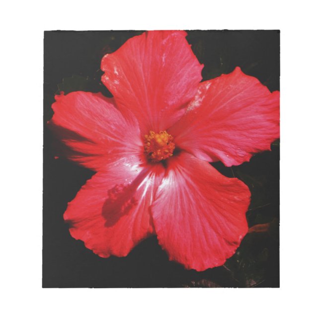 Red Hibiscus Anteckningsblock (Framsida)