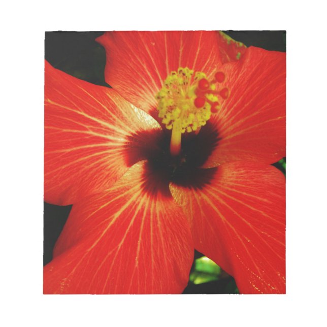 Red Hibiscus Anteckningsblock (Framsida)