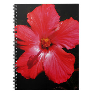 Red Hibiscus Anteckningsbok Med Spiral