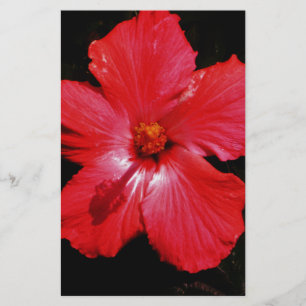 Red Hibiscus Brevpapper