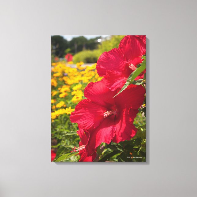 Red Hibiscus Canvastryck (Framsida)