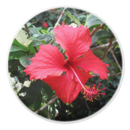 Red Hibiscus Drawer Knob Knopp