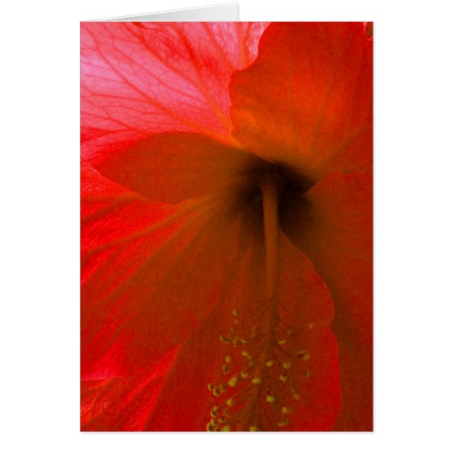 Red Hibiscus Flower Hälsningskort (Framsidan)