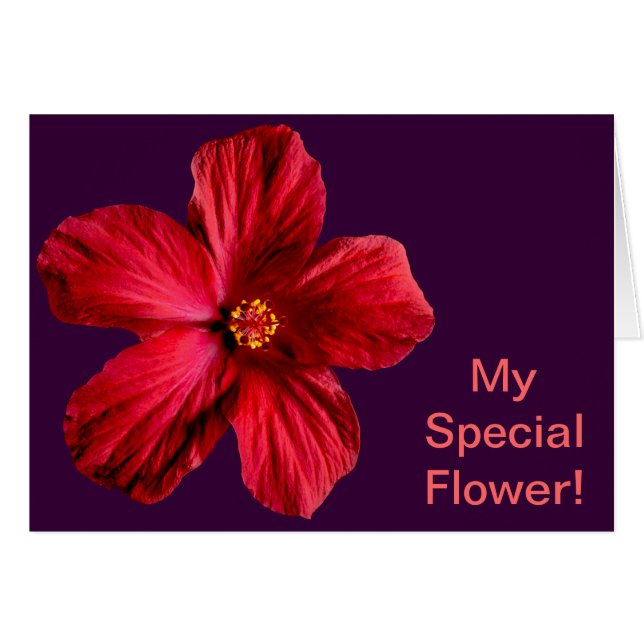 Red Hibiscus Flower Hälsningskort (Framsidan Horizontal)