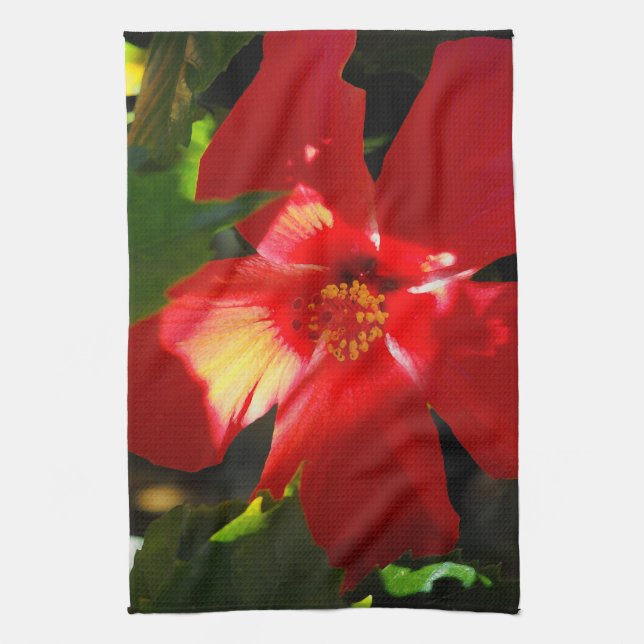 Red Hibiscus Flower i solljus Kökshandduk (Vertikal)