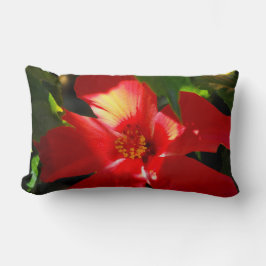Red Hibiscus Flower i solljus Lumbarkudde