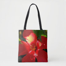 Red Hibiscus Flower i solljus