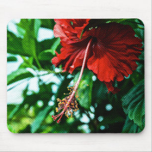 Red Hibiscus Flower Musmatta