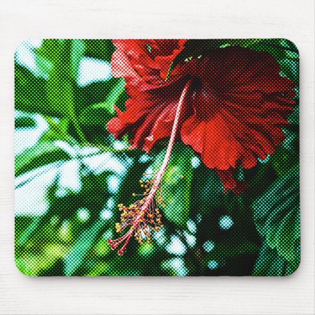 Red Hibiscus Flower Musmatta (Framsidan)