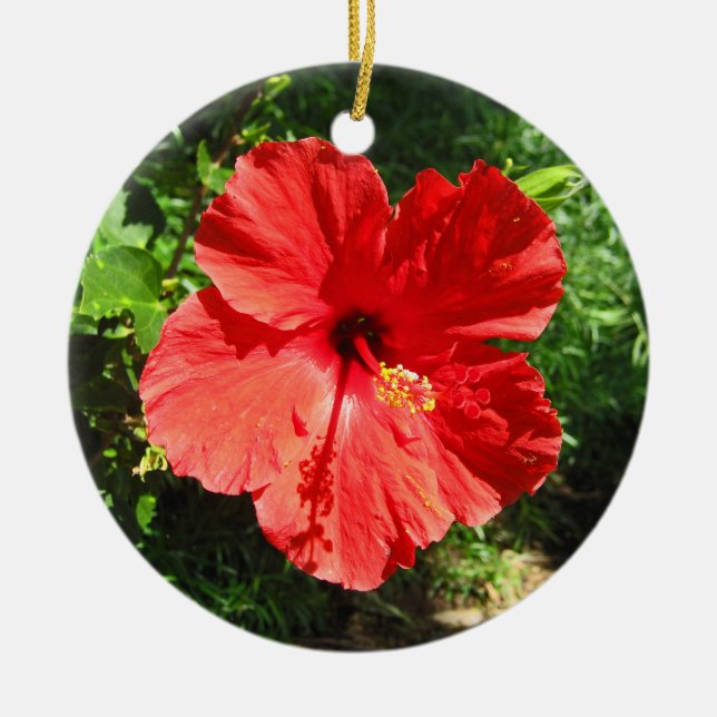 Red Hibiscus Flower Photograph från Hawaii Julgransprydnad Keramik (Framsidan)
