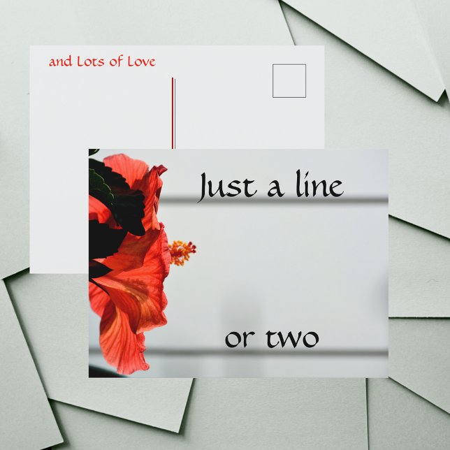 Red Hibiscus Flower Photographic Botanical Vykort (Skapare uppladdad)