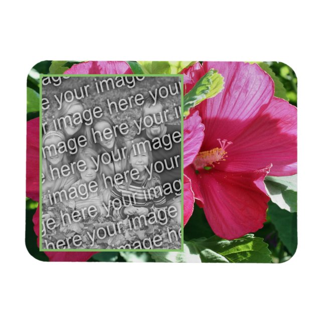 Red Hibiscus Flower Ram Lägg till ditt foto Magnet (Horisontell)