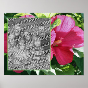 Red Hibiscus Flower Ram Lägg till ditt foto Poster