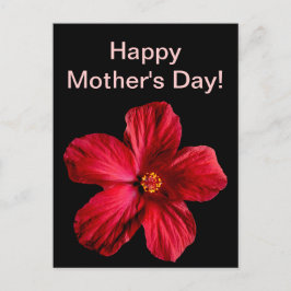 Red Hibiscus Flower Vykort