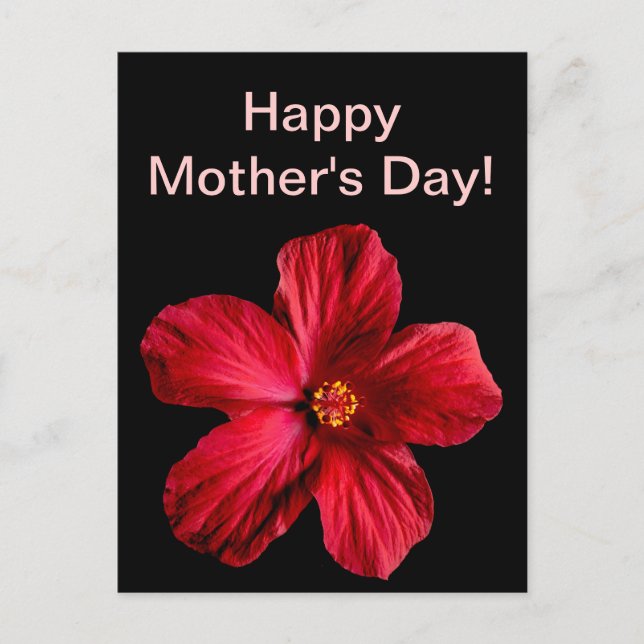 Red Hibiscus Flower Vykort (Framsida)