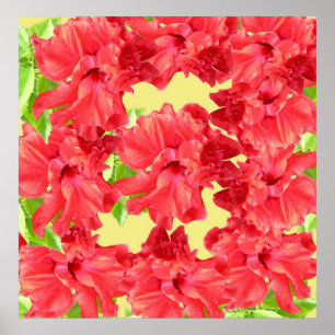 Red Hibiscus Flowers Poster Skriv ut