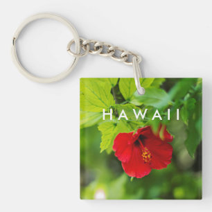 Red Hibiscus Hawaii Tropical Flower