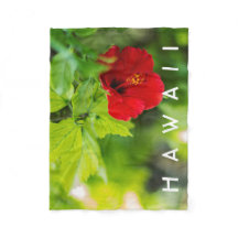 Red Hibiscus Hawaii Tropical Flower