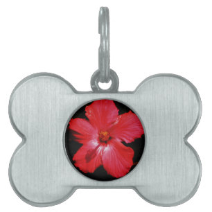 Red Hibiscus ID-bricka Husdjur