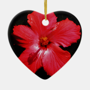 Red Hibiscus Julgransprydnad Keramik