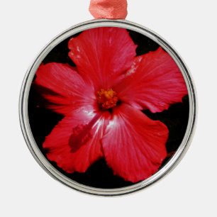 Red Hibiscus Julgransprydnad Metall
