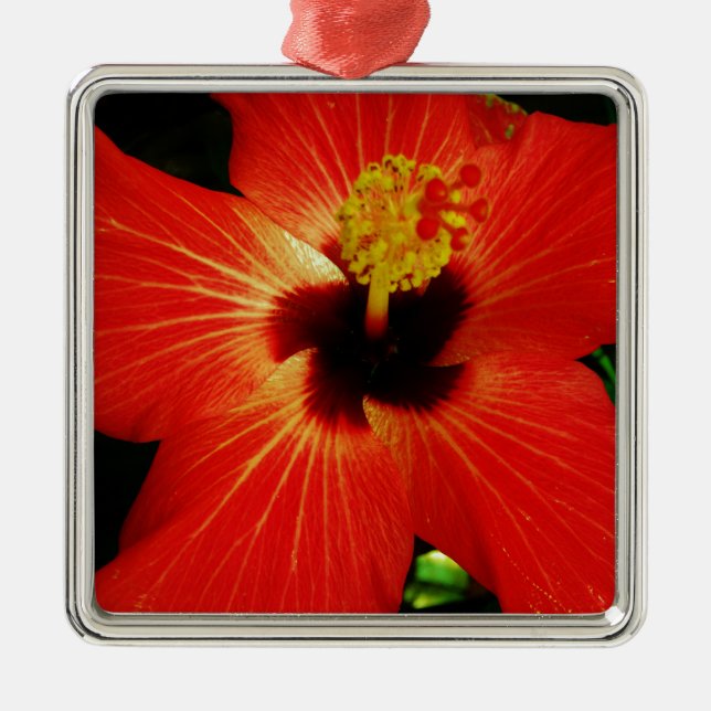 Red Hibiscus Julgransprydnad Metall (Framsidan)