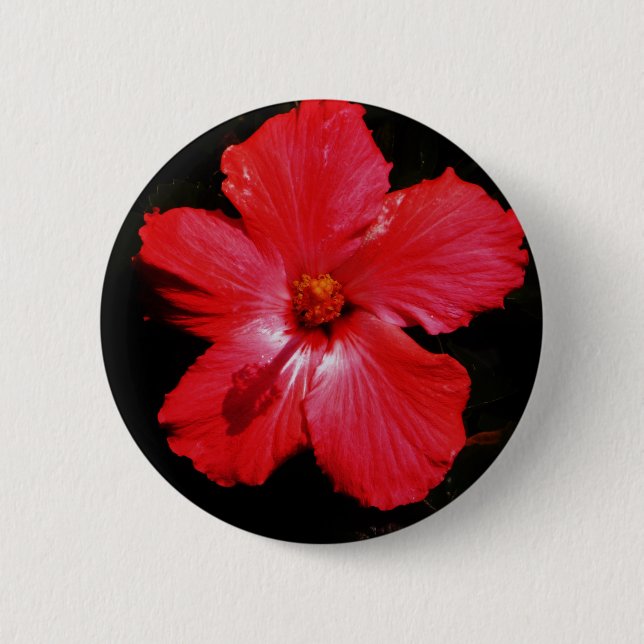 Red Hibiscus Knapp (Framsida)