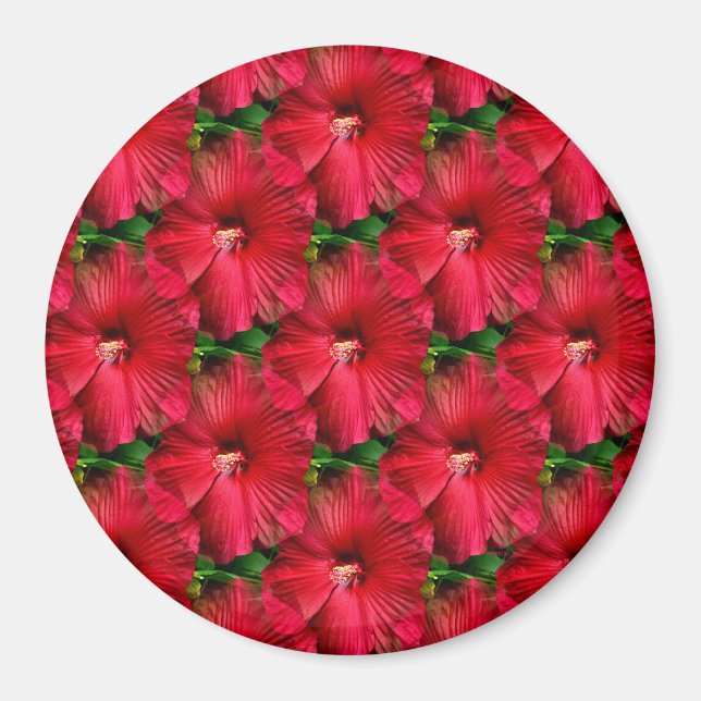 Red Hibiscus....... Magnet (Framsidan)