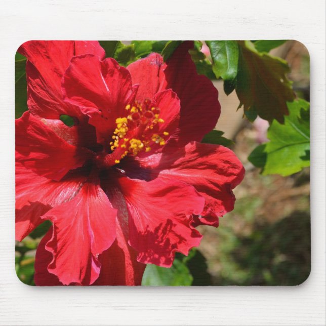 Red Hibiscus Mouse Pad Musmatta (Framsidan)