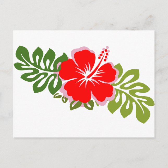 Red Hibiscus och Löv Vykort (Framsida)