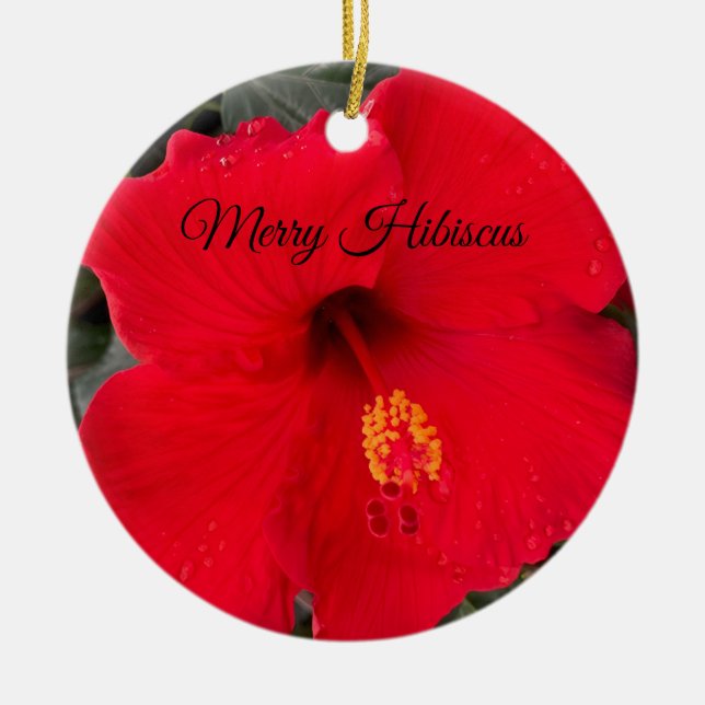 Red Hibiscus Ornament (Framsidan)