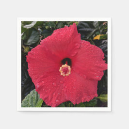 Red Hibiscus Pappersservett