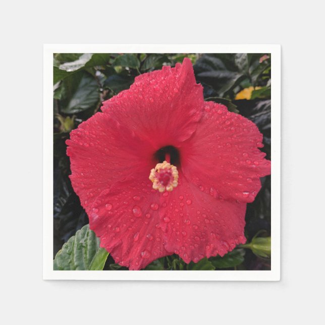 Red Hibiscus Pappersservett (Framsidan)