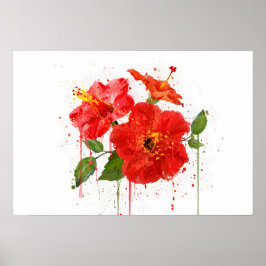 Red Hibiscus Poster