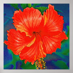 Red hibiscus poster