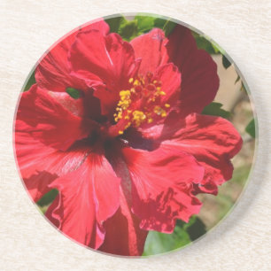 Red Hibiscus Sandstone Underlägg Sandsten