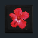 Red Hibiscus Smyckeskrin<br><div class="desc">Red Hibiscus Flower Hibiscus är en blommar växt i familjen Malvaceae. Den är ganska stor, och innehåller flera hundra arter som är inhemska till varma tempererade, subtropiska och tropiska regioner i hela världen. Skicka ett meddelande till sandycloss@gmail.com eller sandycloss.smugmug.com om du vill se någon av de här designerna på en...</div>