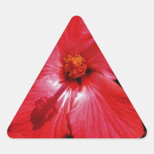 Red Hibiscus Triangelformat Klistermärke
