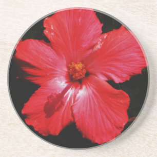 Red Hibiscus Underlägg Sandsten