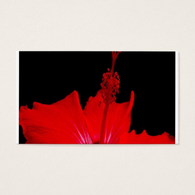 Red Hibiscus Visitkort (Framsidan)